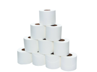 Soft N Cool Toilet Tissues Rolls - 2 Ply 350 Sheets 100 Rolls