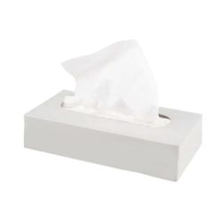 Fine Smart White Facial Tissue - 2 Ply, 100 Sheets (Box of  36)